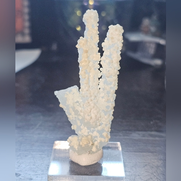 Other - Prenite stalactite w/ okenite